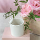 Peeking Bunny Pots Set of 6 By Accent Decor | Planters, Troughs & Cachepots | Modishstore - 6