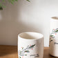 Barberry Collection Set of 4 By Accent Decor | Decor | Modishstore - 9