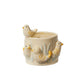 Sweet Tweets Collection Set of 2 By Accent Decor | Planters, Troughs & Cachepots | Modishstore - 2