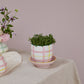 Bertie Collection Set of 4 By Accent Decor | Vases | Modishstore - 8