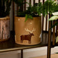 Antarctica Pot Set of 2 By Accent Decor | Planters, Troughs & Cachepots | Modishstore - 5