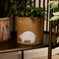 Antarctica Pot Set of 2 By Accent Decor | Planters, Troughs & Cachepots | Modishstore - 7