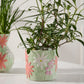 Linton Collection Set of 4 By Accent Decor | Stands | Modishstore - 6