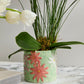 Linton Collection Set of 4 By Accent Decor | Stands | Modishstore - 8
