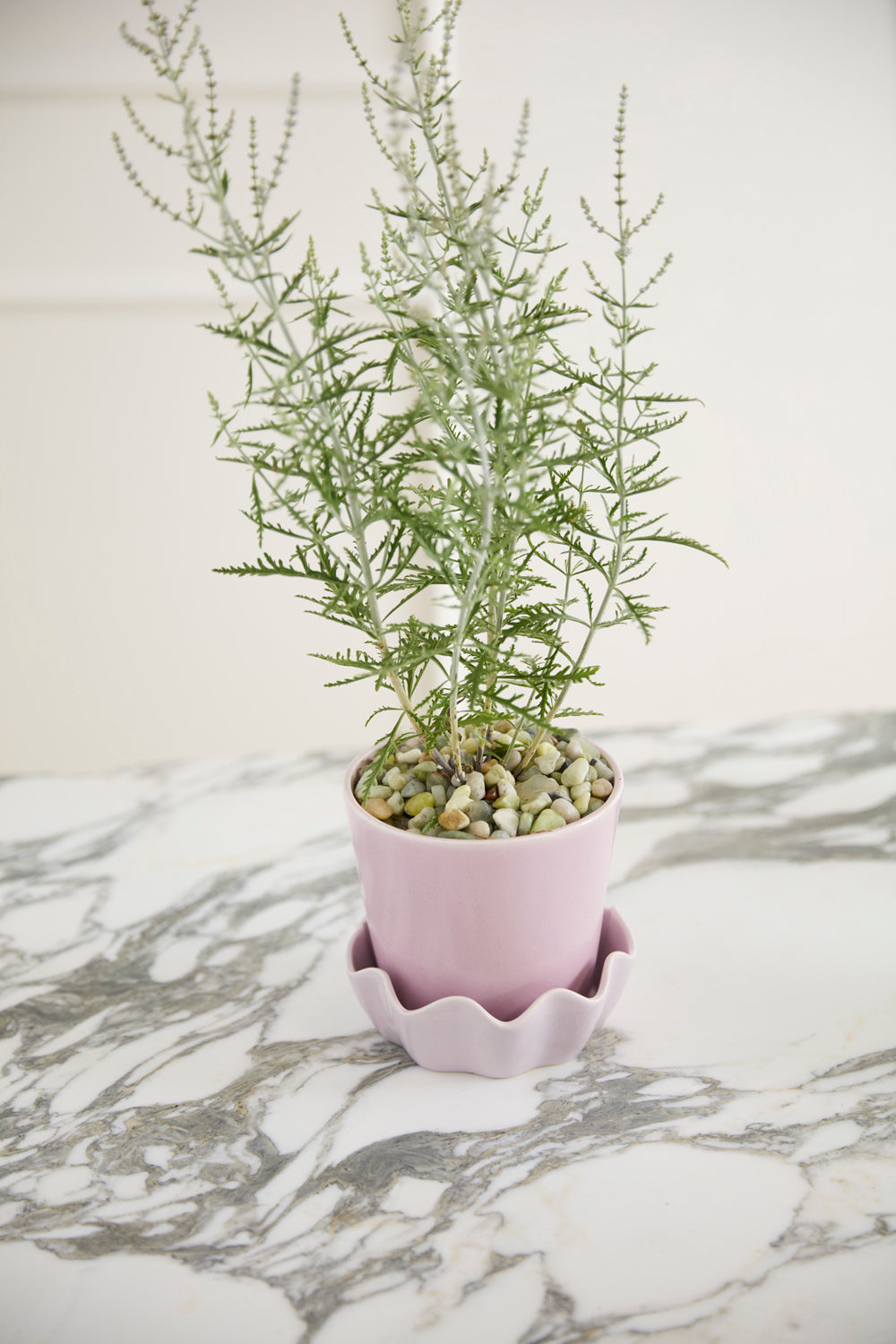 Springvale Pot with Saucer Set of 4 By Accent Decor | Stands | Modishstore - 11
