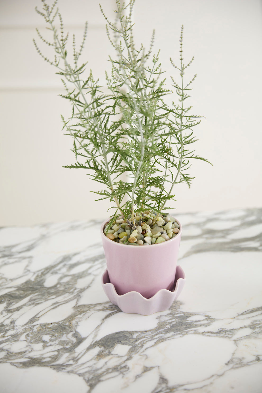 Springvale Pot with Saucer Set of 4 By Accent Decor | Stands | Modishstore - 11