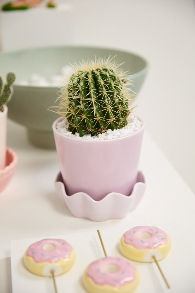 Springvale Pot with Saucer Set of 4 By Accent Decor | Stands | Modishstore - 13