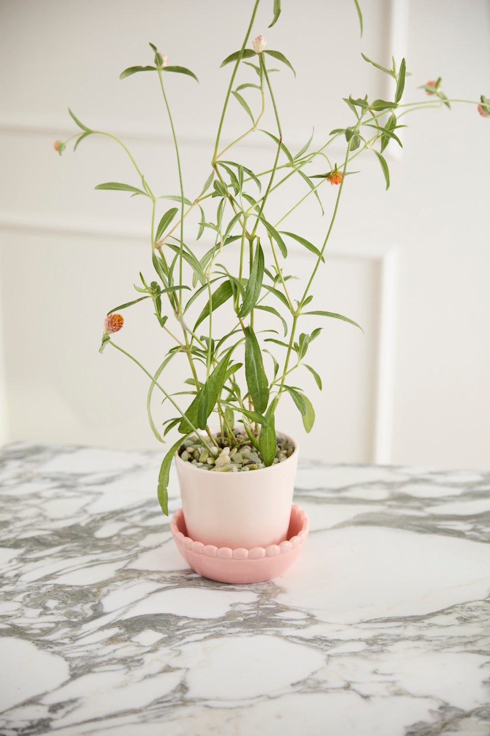 Springvale Pot with Saucer Set of 4 By Accent Decor | Stands | Modishstore - 8