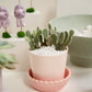 Springvale Pot with Saucer Set of 4 By Accent Decor | Stands | Modishstore - 9