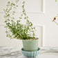 Springvale Pot with Saucer Set of 4 By Accent Decor | Stands | Modishstore - 6