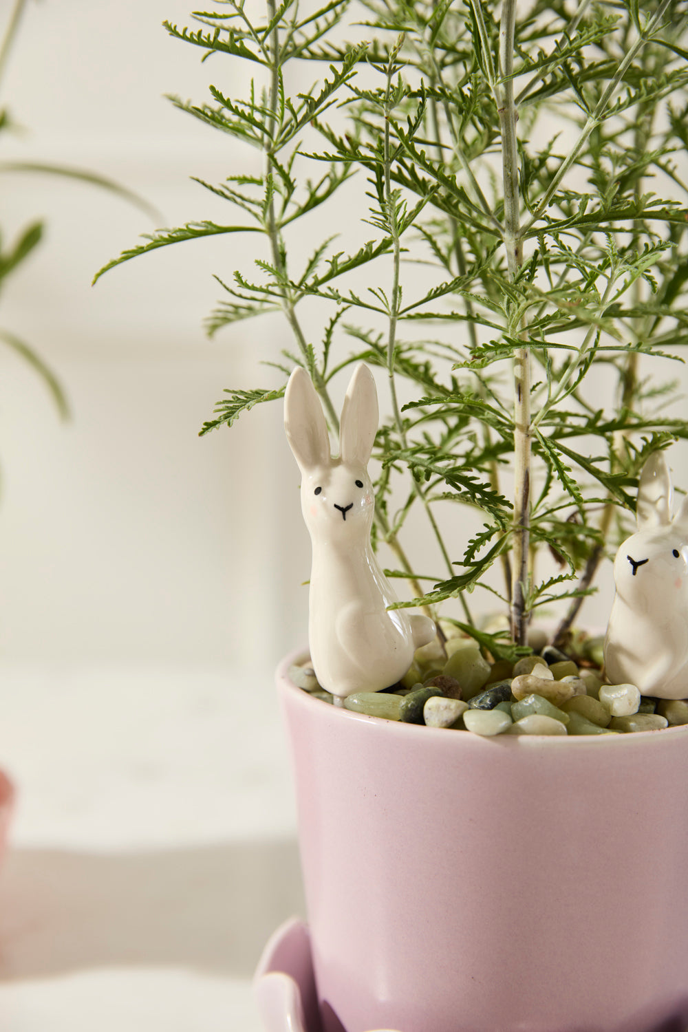 Thumper Plant Sticks - Set of 6 By Accent DŽcor