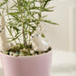 Thumper Plant Sticks - Set of 6 By Accent DŽcor