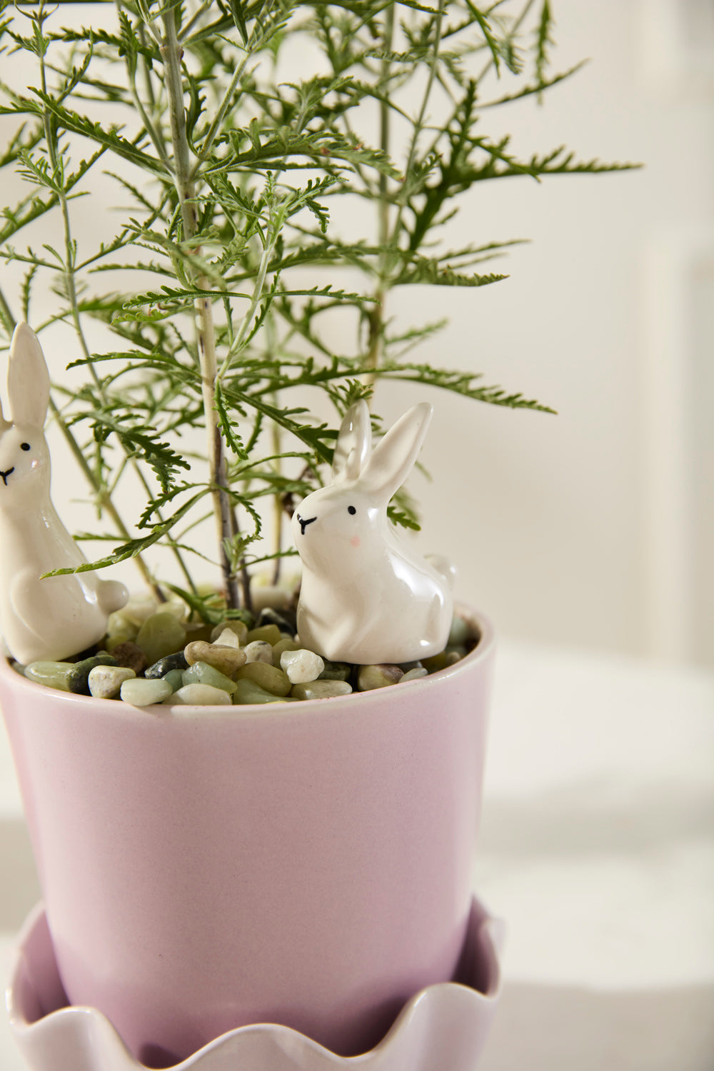 Thumper Plant Sticks - Set of 6 By Accent DŽcor