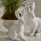 Garden Rabbit Figurine Set of 2 By Accent Decor | Figurines | Modishstore - 6
