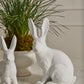 Garden Rabbit Figurine Set of 2 By Accent Decor | Figurines | Modishstore - 4