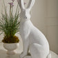 Rabbit Garden Statue By Accent Decor | Stands | Modishstore - 4