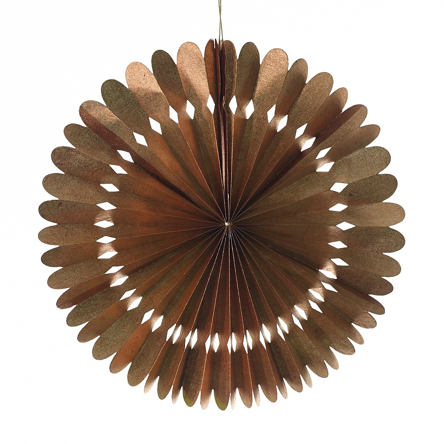 Rosetta Paper Fan Set of 8 By Accent Decor | Planters, Troughs & Cachepots | Modishstore - 9
