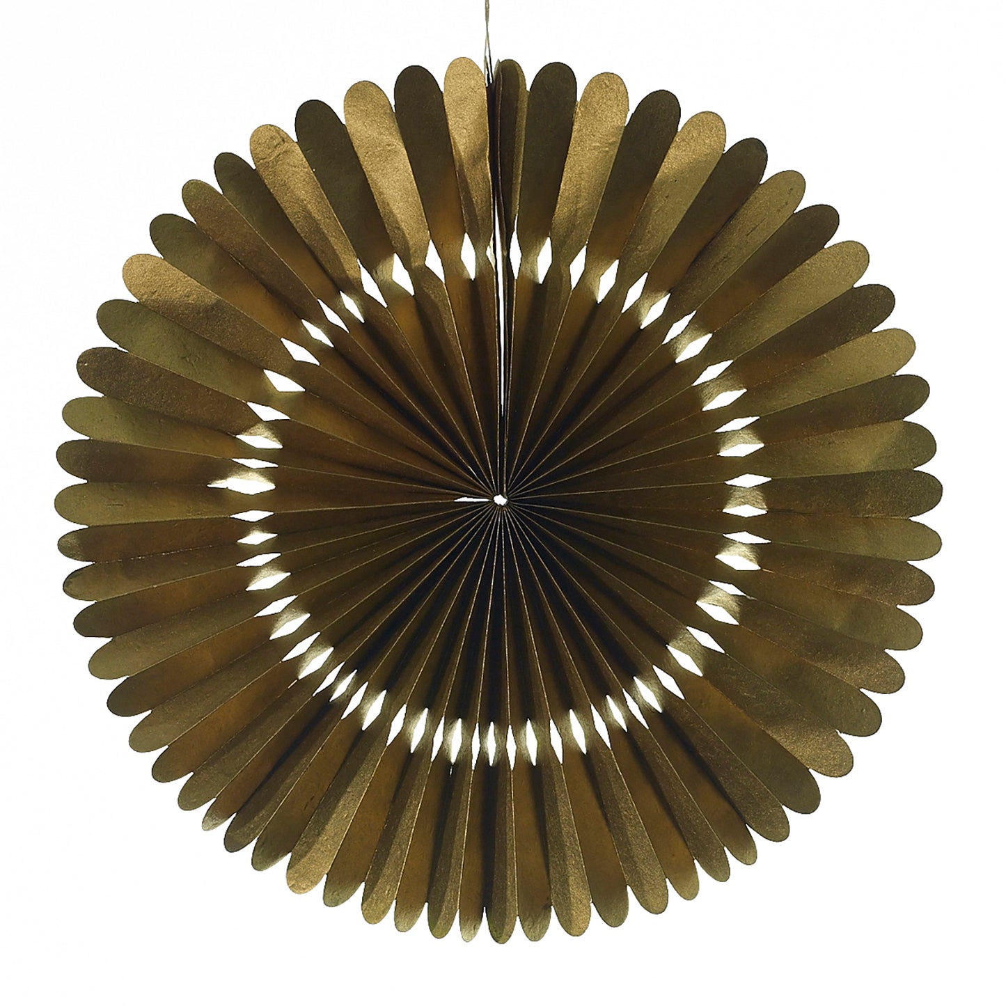 Rosetta Paper Fan Set of 8 By Accent Decor | Planters, Troughs & Cachepots | Modishstore - 11