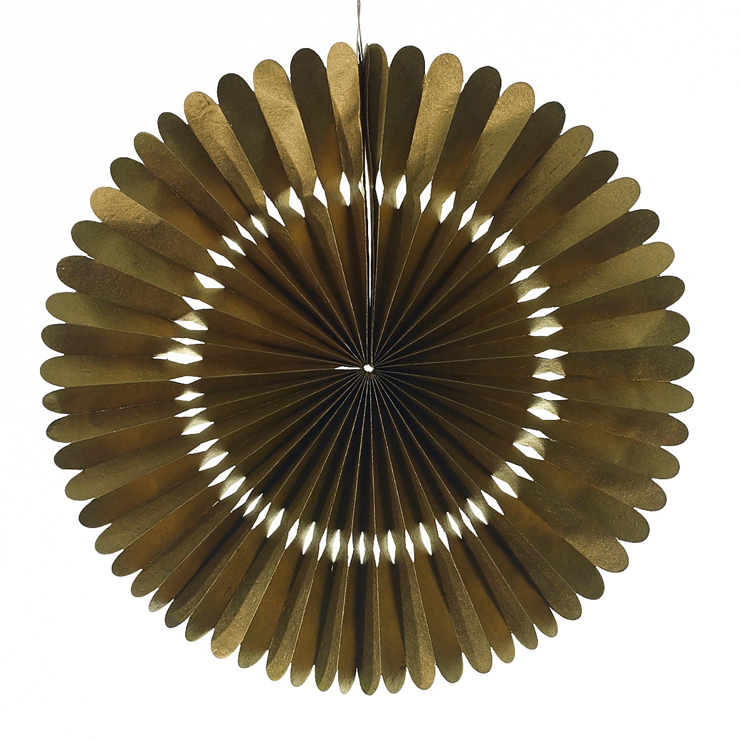 Rosetta Paper Fan Set of 8 By Accent Decor | Planters, Troughs & Cachepots | Modishstore - 11