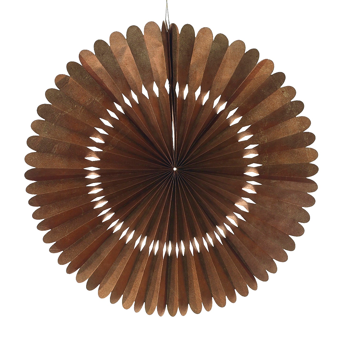 Rosetta Paper Fan Set of 8 By Accent Decor | Planters, Troughs & Cachepots | Modishstore - 14