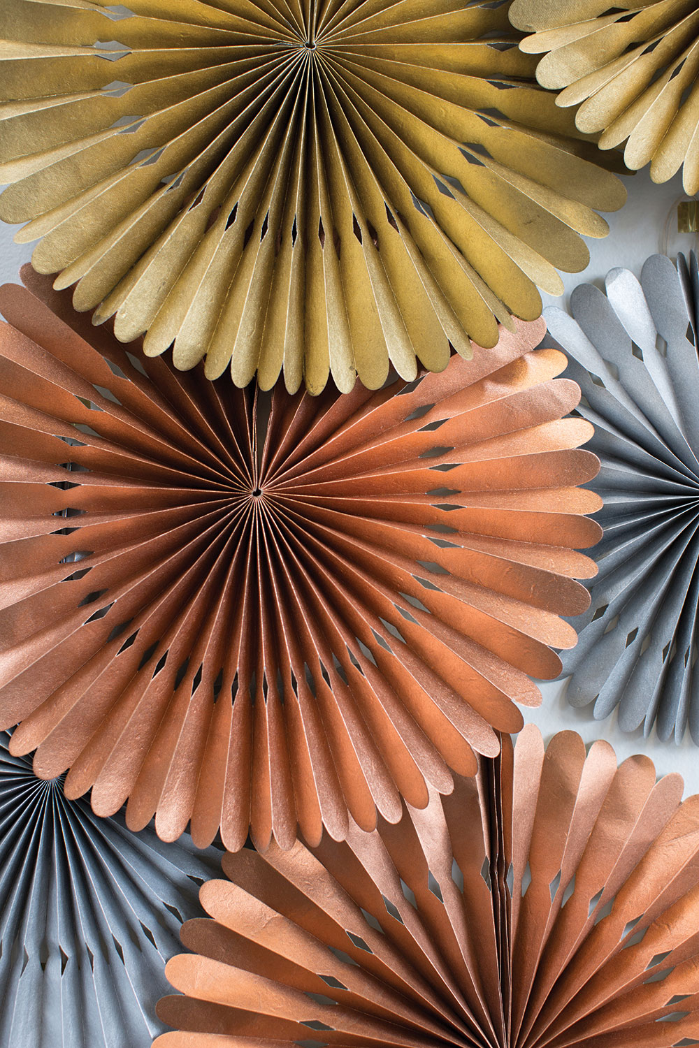 Rosetta Paper Fan Set of 8 By Accent Decor | Planters, Troughs & Cachepots | Modishstore - 15