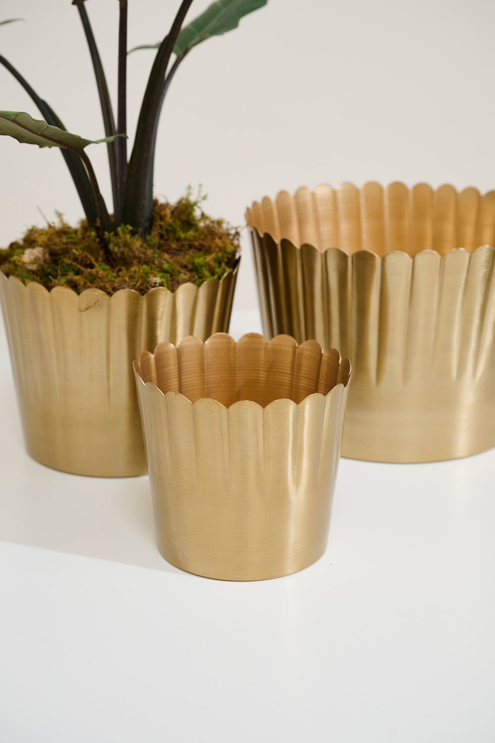 Delicata Pot Set of 8 By Accent Decor | Planters, Troughs & Cachepots | Modishstore - 7