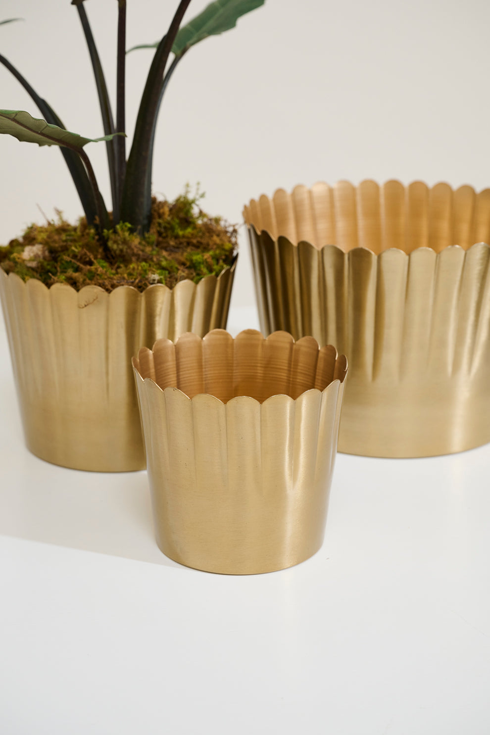 Delicata Pot Set of 8 By Accent Decor | Planters, Troughs & Cachepots | Modishstore - 7