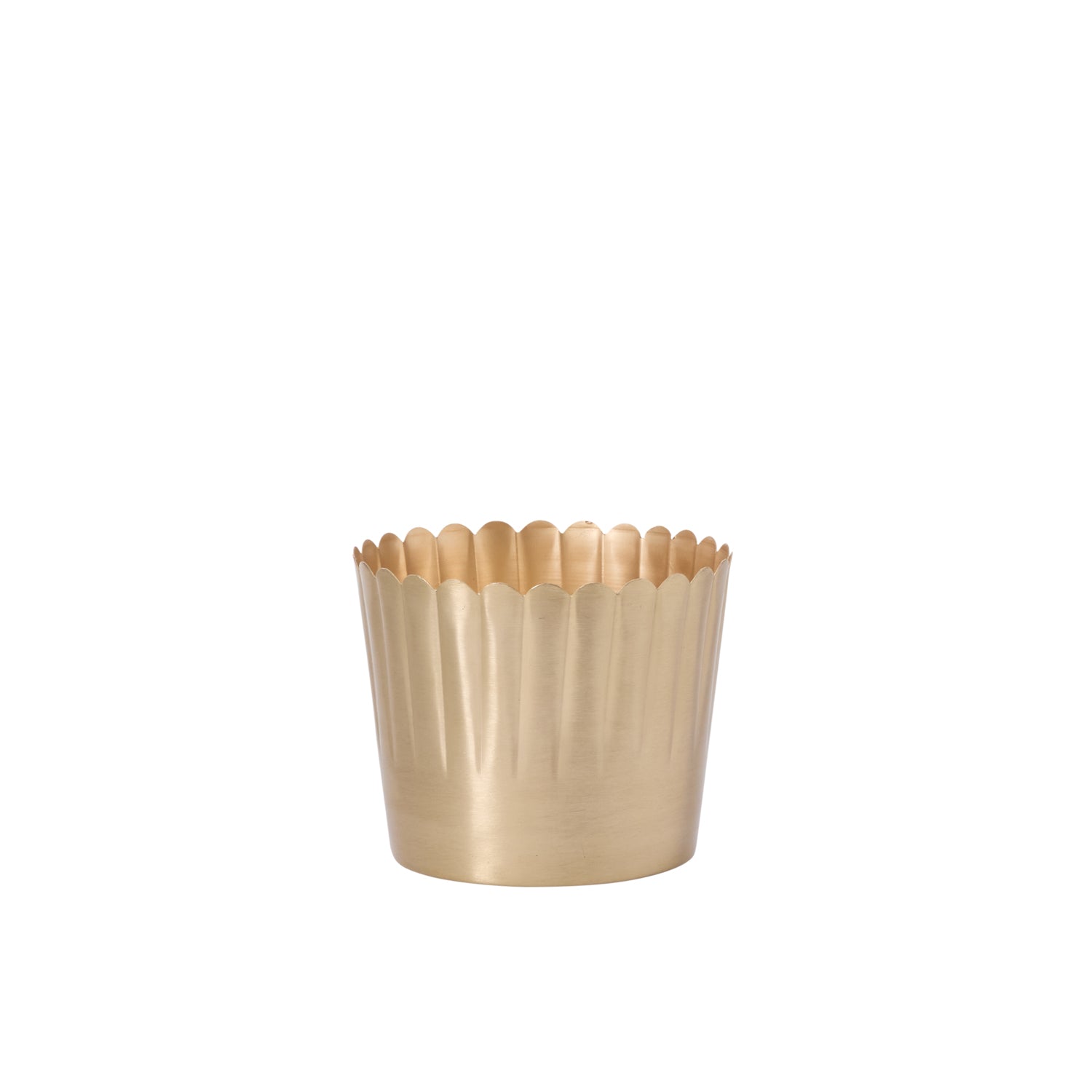 Delicata Pot Set of 8 By Accent Decor | Planters, Troughs & Cachepots | Modishstore - 8