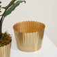 Delicata Pot Set of 8 By Accent Decor | Planters, Troughs & Cachepots | Modishstore - 12