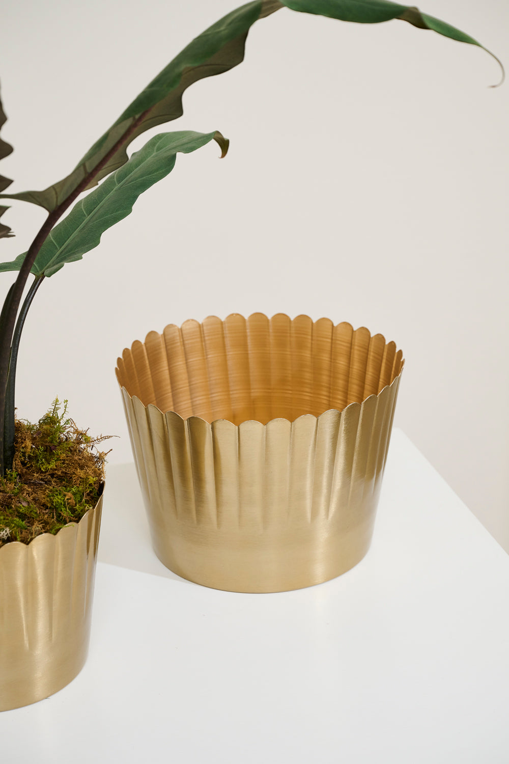 Delicata Pot Set of 8 By Accent Decor | Planters, Troughs & Cachepots | Modishstore - 12