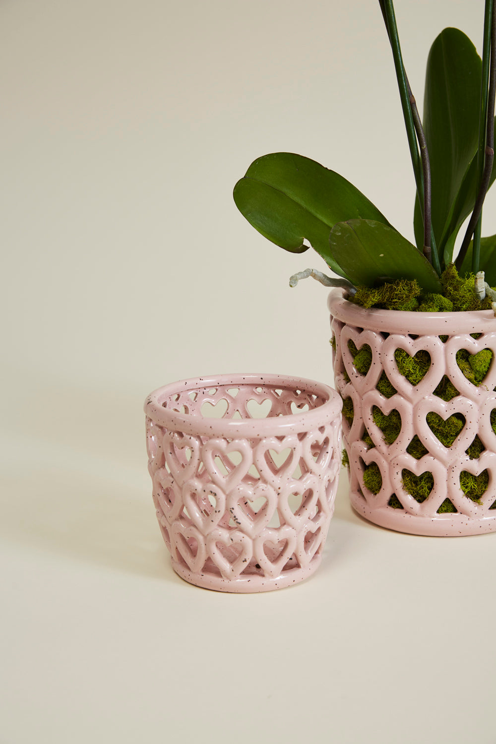 Cherished Hearts Orchid Pot Set of 4 By Accent Decor | Planters, Troughs & Cachepots | Modishstore - 4
