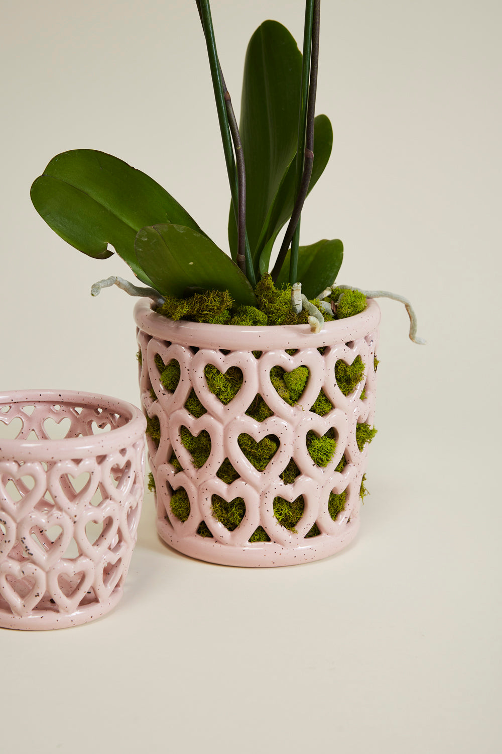 Cherished Hearts Orchid Pot Set of 4 By Accent Decor | Planters, Troughs & Cachepots | Modishstore - 6