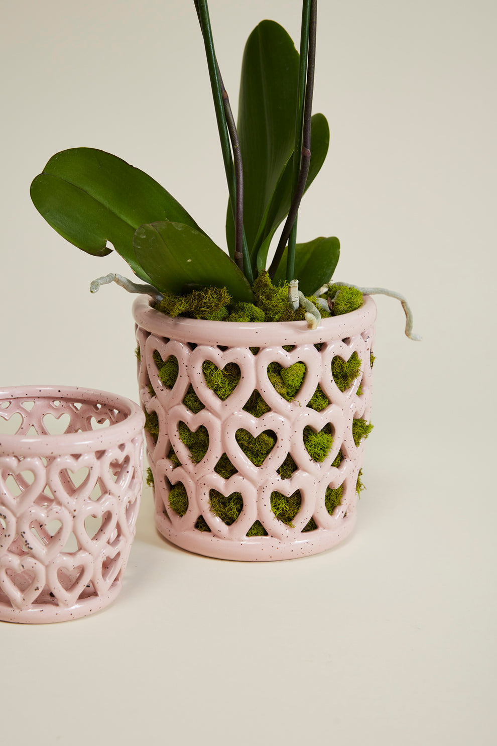 Cherished Hearts Orchid Pot Set of 4 By Accent Decor | Planters, Troughs & Cachepots | Modishstore - 6