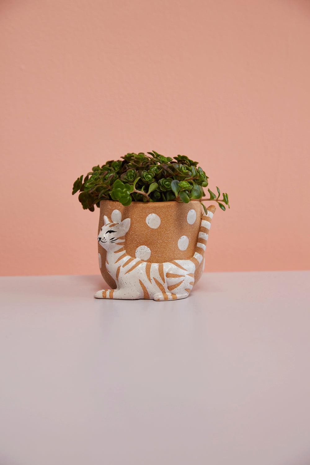 Pampered Pet Pot Set of 4 By Accent Decor | Planters, Troughs & Cachepots | Modishstore - 4