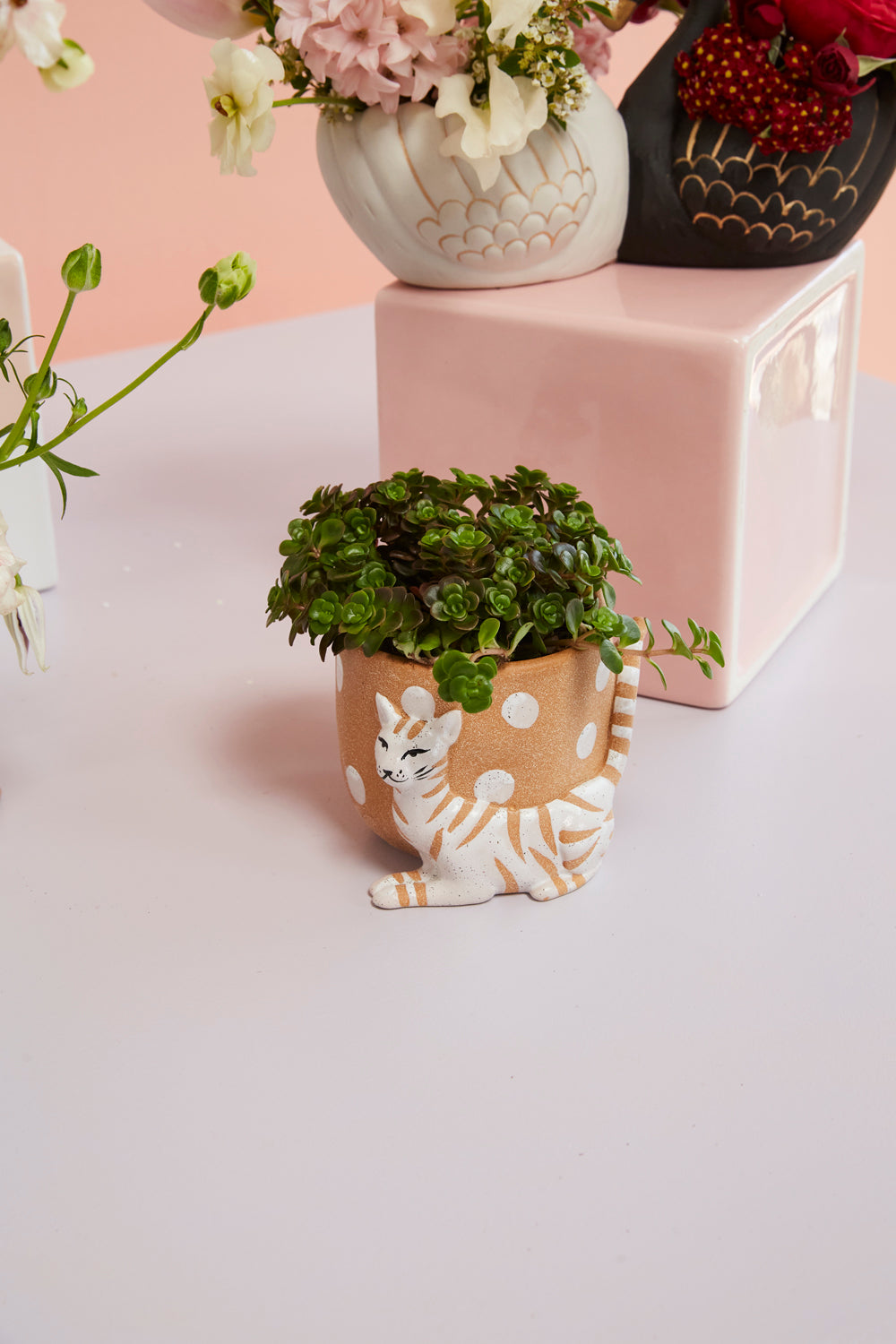 Pampered Pet Pot Set of 4 By Accent Decor | Planters, Troughs & Cachepots | Modishstore - 5