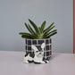 Pampered Pet Pot Set of 4 By Accent Decor | Planters, Troughs & Cachepots | Modishstore - 8