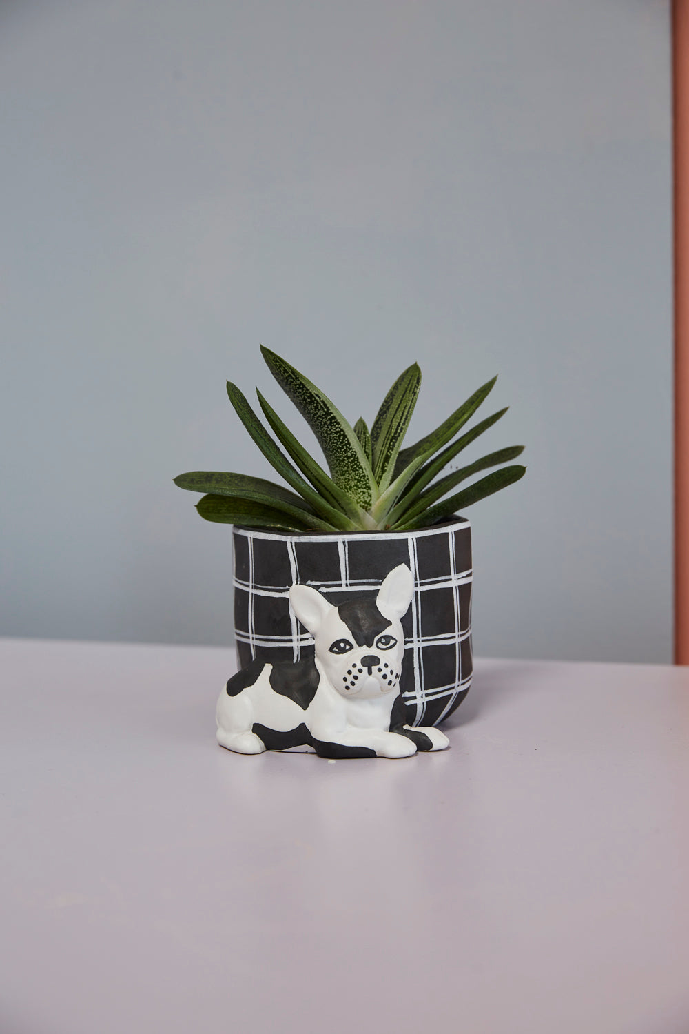 Pampered Pet Pot Set of 4 By Accent Decor | Planters, Troughs & Cachepots | Modishstore - 8