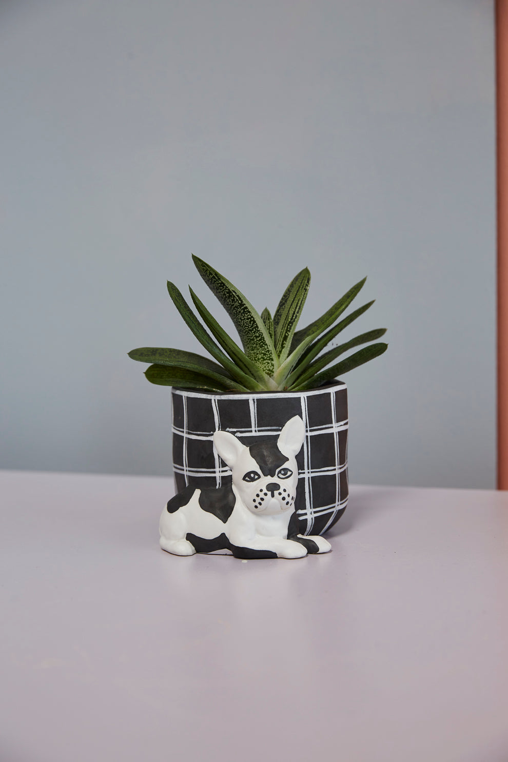 Pampered Pet Pot Set of 4 By Accent Decor | Planters, Troughs & Cachepots | Modishstore - 8