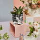 Pampered Pet Pot Set of 4 By Accent Decor | Planters, Troughs & Cachepots | Modishstore - 9