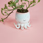 Open Arms Octopus Pot Set of 2 By Accent DŽcor
