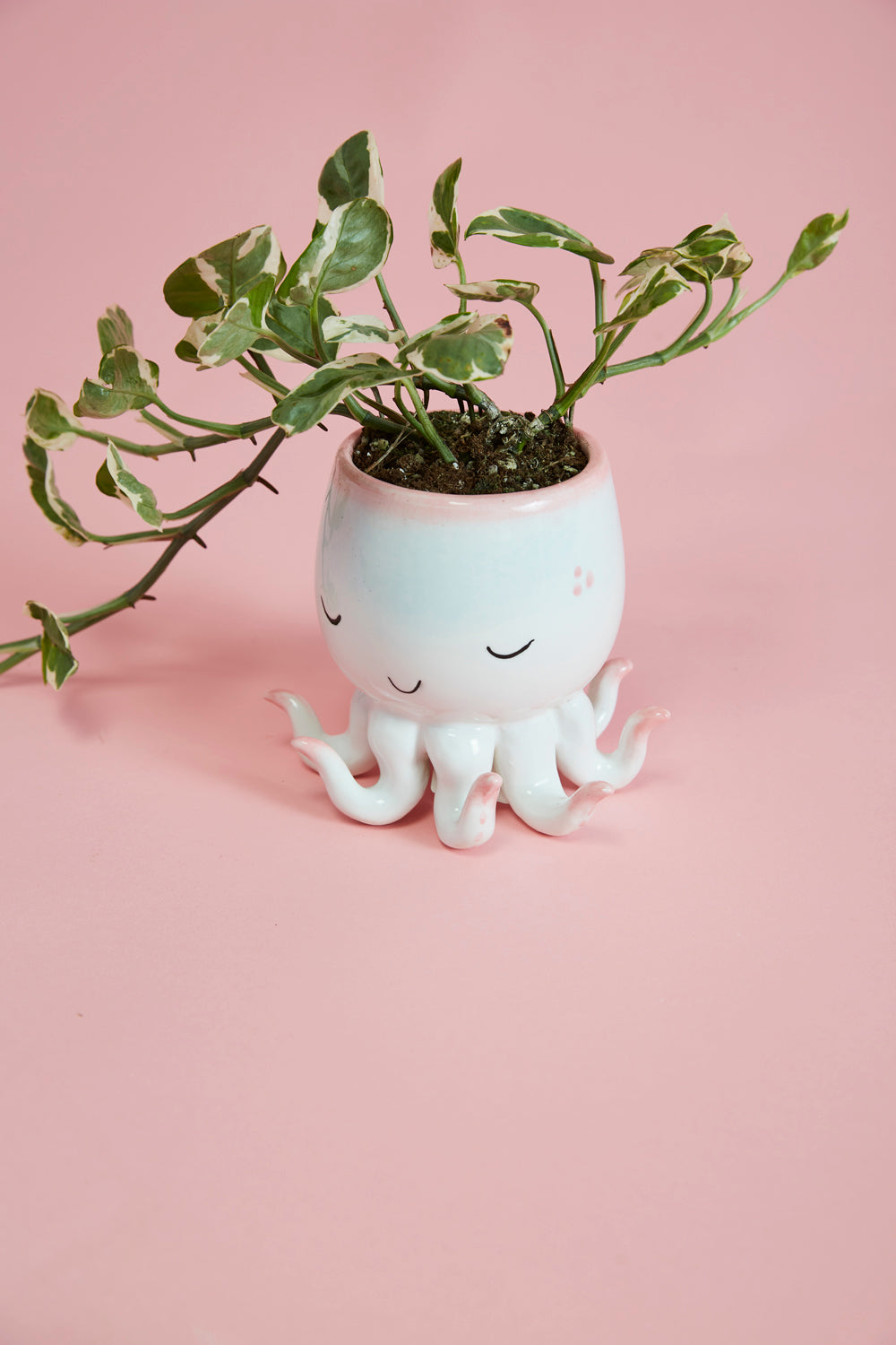 Open Arms Octopus Pot Set of 2 By Accent DŽcor