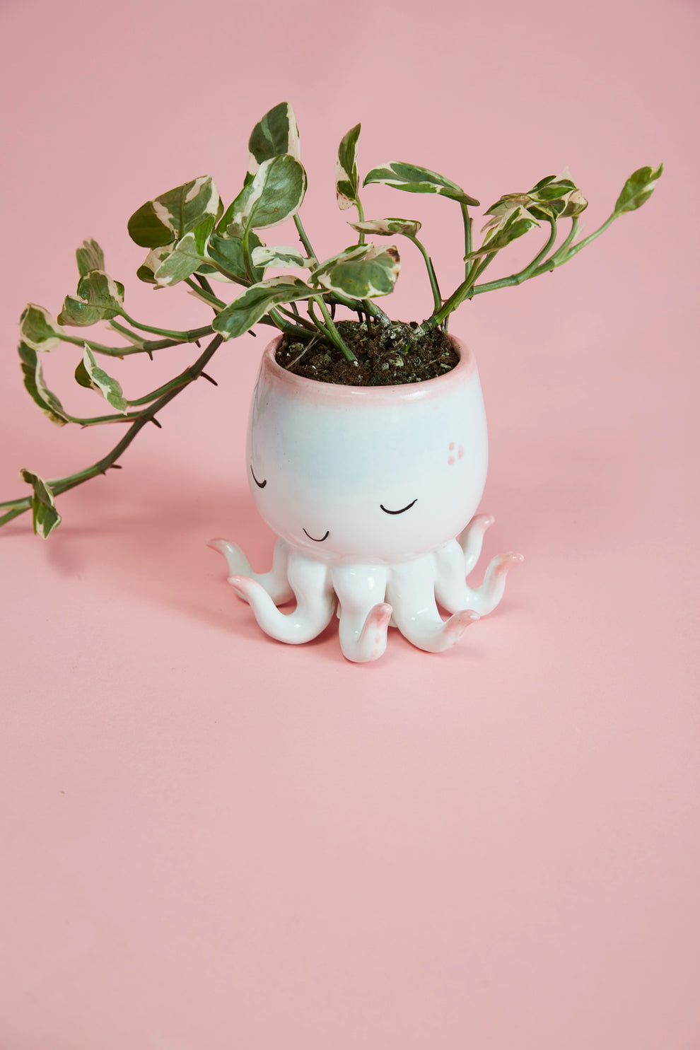 Open Arms Octopus Pot Set of 2 By Accent Decor | Planters, Troughs & Cachepots | Modishstore - 4