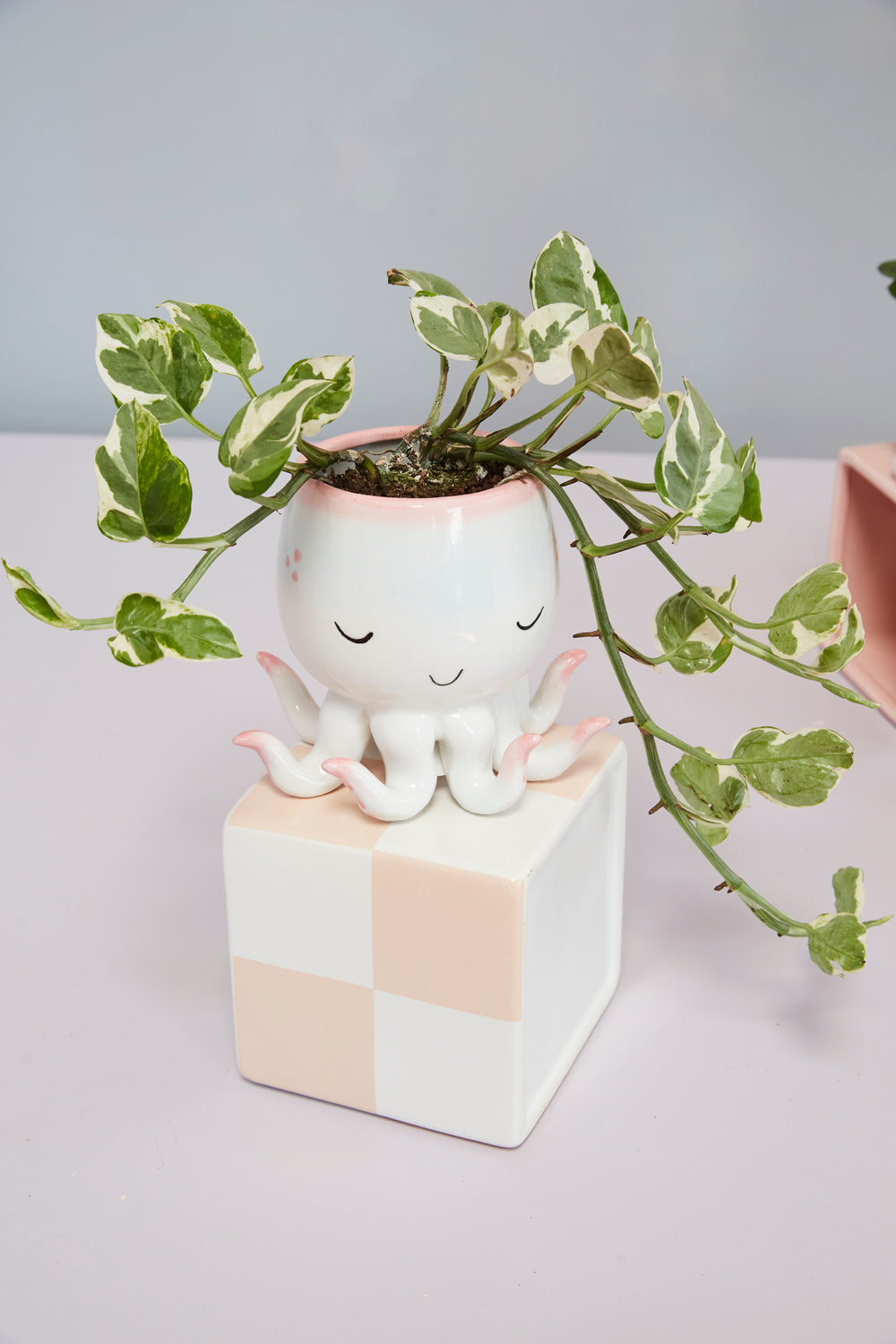 Open Arms Octopus Pot Set of 2 By Accent DŽcor