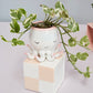 Open Arms Octopus Pot Set of 2 By Accent DŽcor
