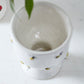 Buzzy Compote Set of 4 By Accent Decor | Planters, Troughs & Cachepots | Modishstore - 6