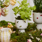 Buzzy Compote Set of 4 By Accent Decor | Planters, Troughs & Cachepots | Modishstore - 5
