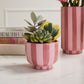 Pink Striped Collection Set of 4 By Accent Decor | Stands | Modishstore - 4