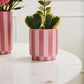 Pink Striped Collection Set of 4 By Accent Decor | Stands | Modishstore - 8