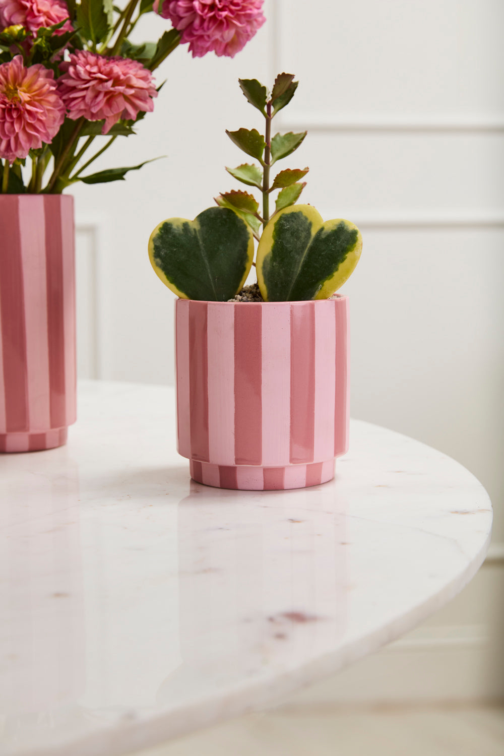 Pink Striped Collection Set of 4 By Accent Decor | Stands | Modishstore - 8