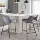 Daniella Fixed-Height Counter Stool - Set of 2 By LumiSource - B24-DNLA2 BKCR2 | Counter Stools | Modishstore - 9